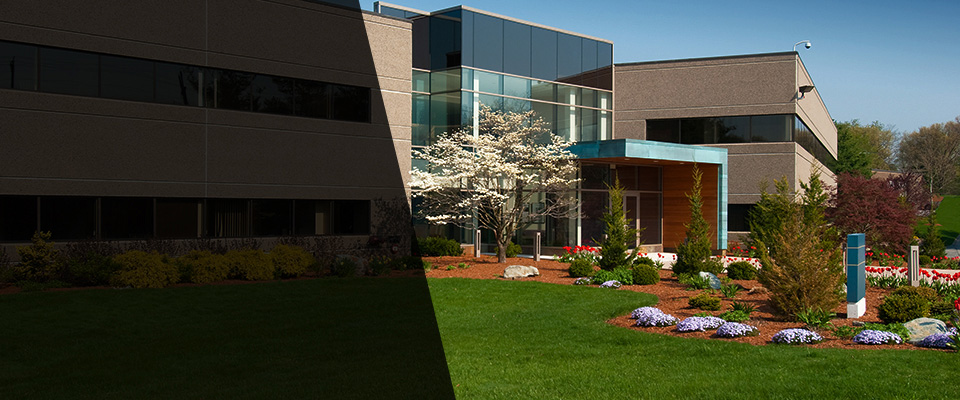 South Houston Landscapers