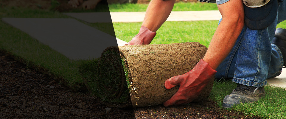 South Houston Landscapers